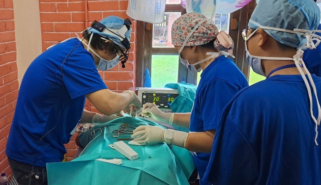 4f02217b7aeb01eea6c8e570a5c6a7aa_1770096088_5097.jpg 4f02217b7aeb01eea6c8e570a5c6a7aa_1770096088_5097.jpg